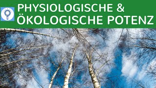 Physiologische und ökologische Potenz einfach erklärt  Wettbewerbs amp Verdrängungsprozesse Bäume [upl. by Enidaj974]