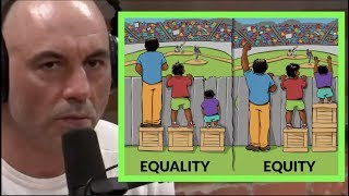 Equity vs Equality  Joe Rogan amp Tim Pool [upl. by Imre]