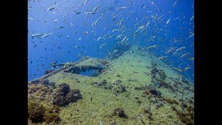 Scuba Dive Yongala Wreck Australia  20131119 [upl. by Enirual]