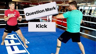 How To Throw A Question Mark Kick Stephen Wonderboy Thompson [upl. by Droflim554]