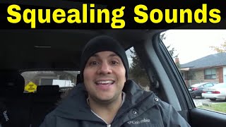 Why Do Cars Make Squealing Sounds5 Common Reasons [upl. by Otipaga]