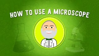 How to Use a Microscope  STEM [upl. by Aihtyc]