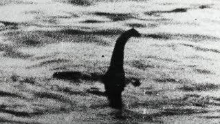 The Legend of Loch Ness 1976 [upl. by Nwaf]