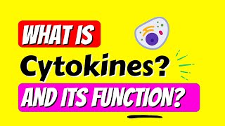 What is CYTOKINES  WELLNESS in Life [upl. by Baptlsta166]