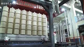 Fully Automatic Dyeing Process for Yarn Dyeing Processing Advancements [upl. by Heeley79]