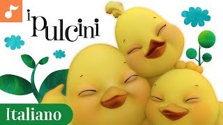 Pulcini  Italian Childrens Nursery Songs Italiano  Canticos [upl. by Cathey150]