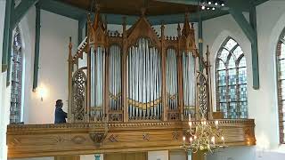 Orgel Hervormde kerk Meerkerk [upl. by Zia]