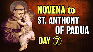 St Anthony of Padua Novena Day 7 [upl. by Waiter]