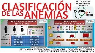 TIPOS DE ANEMIAS  GuiaMed [upl. by Elrebma]