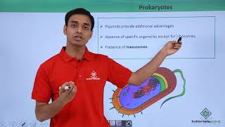 Class 11th  Prokaryotes – Introduction  Cell The unit of Life  Tutorials Point [upl. by Ailedamla]