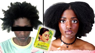 I tried Ayurveda for my Hair  FIRST Ayurvedic Treatment on 4C Natural Hair [upl. by Ecniv37]