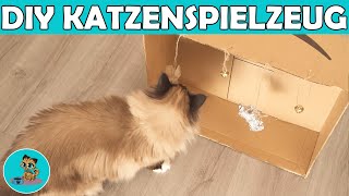 Katzenspielzeug selber basteln  Günstige Bastelideen DIY ✅ [upl. by Ariamat126]