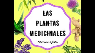 Las plantas medicinales en Educación Infantil [upl. by Hapte]