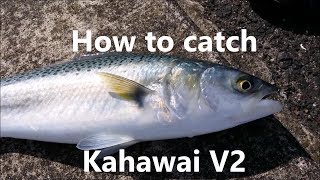 NZ Basic Fishing  Tutorial  How to catch Kahawai V2 [upl. by Yrrab589]