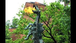 Wawel Dragon Smok Wawelski  Fire Breathing Dragon in Kraków [upl. by Nason]