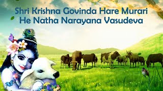 Shri Krishna Govinda Hare Murari with Lyrics and Translation [upl. by Sira]