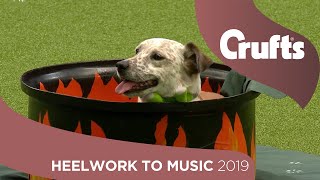 Freestyle Heelwork to Music Competition  Part 2  Crufts 2019 [upl. by Lancelot115]