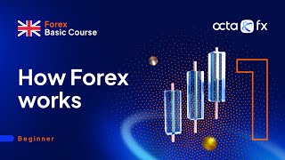 English Lesson 1 – How Forex works brokers liquidity volatility [upl. by Kella]