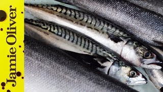 How to Fillet Sardines  Jamie Oliver [upl. by Ahsait]