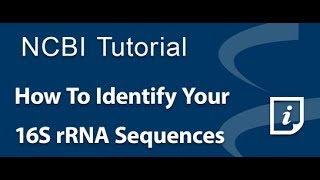 How To Identify Your 16S rRNA Sequences [upl. by Halimeda]