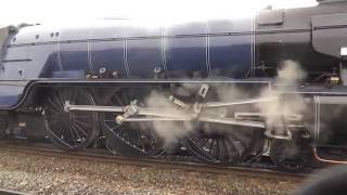 Steam Locomotives in action [upl. by Kcirrag]