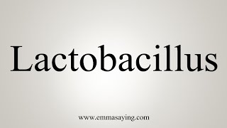 How To Say Lactobacillus [upl. by Amhsirak]