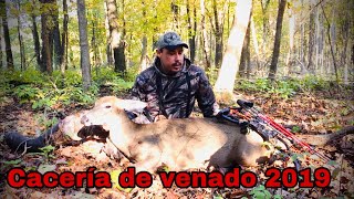 Cacería de venado caza de venado con arco [upl. by Yellehs]