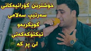 Sartip Salami Bo Tiktok Track2 Danishtni Cafe La Nwe Xawani Shwanay Kwexa [upl. by Sabina]