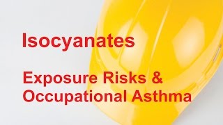 Isocyanates Exposure Risks amp Occupational Asthma [upl. by Anyel712]