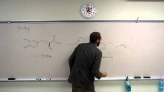 Prodrug MiniLecture 002  LDOPA to Dopamine [upl. by Tully]