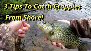 3 Crappie Fishing Tips Guaranteed To Catch Crappies From Shore [upl. by Eemla]