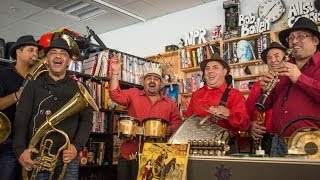 Fanfare Ciocarlia NPR Music Tiny Desk Concert [upl. by Akeimat718]