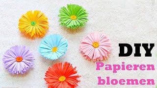 Bloemen maken van crepepapier [upl. by Dalli]