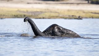 10 Times The Loch Ness Monster Was Spotted [upl. by Bassett]