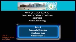 2 Pratical Parasitology  Entamoeba Histolytica  Trophozoite Stage [upl. by Euqirat]