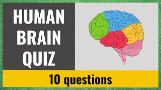 The Human Brain Quiz  Test your knowledge  10 trivia questions [upl. by Auqinat295]