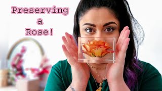 How To Preserve a Full Rose in Resin [upl. by Assened]