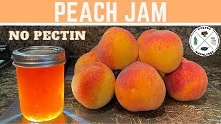 Peach Jam without Pectin  Useful Knowledge [upl. by Rickie]