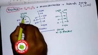 FRUCTOSE  ALL STRUCTURE [upl. by Elirpa660]