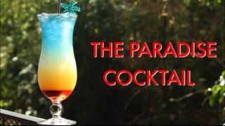 How To Make A Paradise Tropical Layered Cocktail  Drinks Made Easy [upl. by Nelyk128]