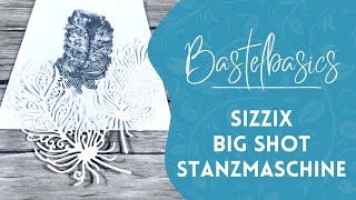 Bastel Basics  Sizzix Big Shot Stanz und Prägemaschine Tips amp Tricks [upl. by Miguel]