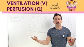 Mechanical Ventilation Explained Clearly  Ventilator Settings amp Modes Remastered [upl. by Nnave]