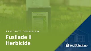 Best PostEmergent Herbicide for Grassy Weeds [upl. by Jarrow]