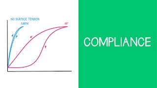 Introduction to Mechanical Ventilation [upl. by Anrim]