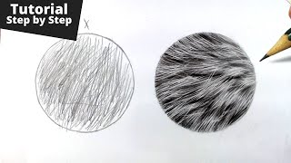 How to Draw Realistic Fur for Beginners [upl. by Devy125]