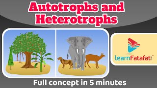 Class 7 Science Chapter 1 Nutrition in Plants  Autrotrophs and Heterotrophs  CBSE  Learnfatafat [upl. by Sanbo]