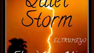 Soul Quiet Storm Love Ballads IX [upl. by Leahplar]