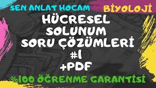 HÜCRESEL SOLUNUM SORU ÇÖZÜMLERİ 1  FERMANTASYONOKSİJENLİ SOLUNUM SORU ÇÖZÜMLERİ  PDF ✅ [upl. by Anu]