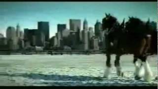 Budweiser 911 tribute commercial [upl. by Phila]