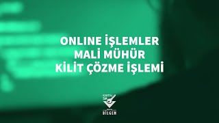 Kamu SM  Online İşlemler Mali Mühür Kilit Çözme [upl. by Ataeb]